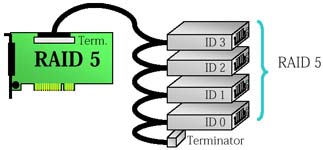 [Carte RAID avec disques]
